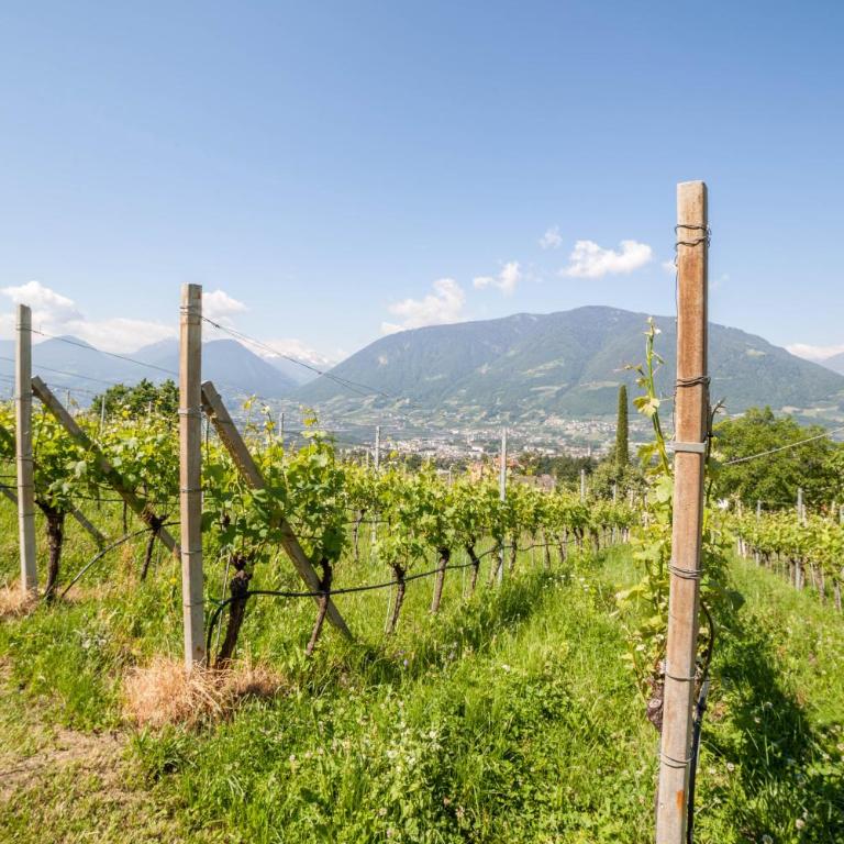 Ferienwohnung Pinot - Appartamento Deluxe con 2 Camere da Letto e Vista Giardino - 25