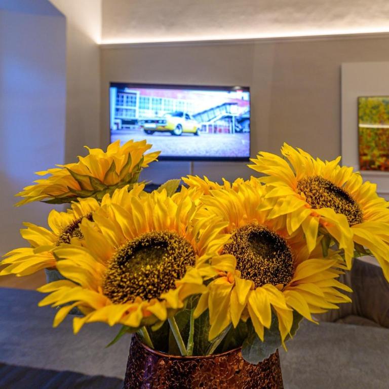 Gh Alte Post - Top 3 Manta - Superior Apartment mit Stadtblick - 7