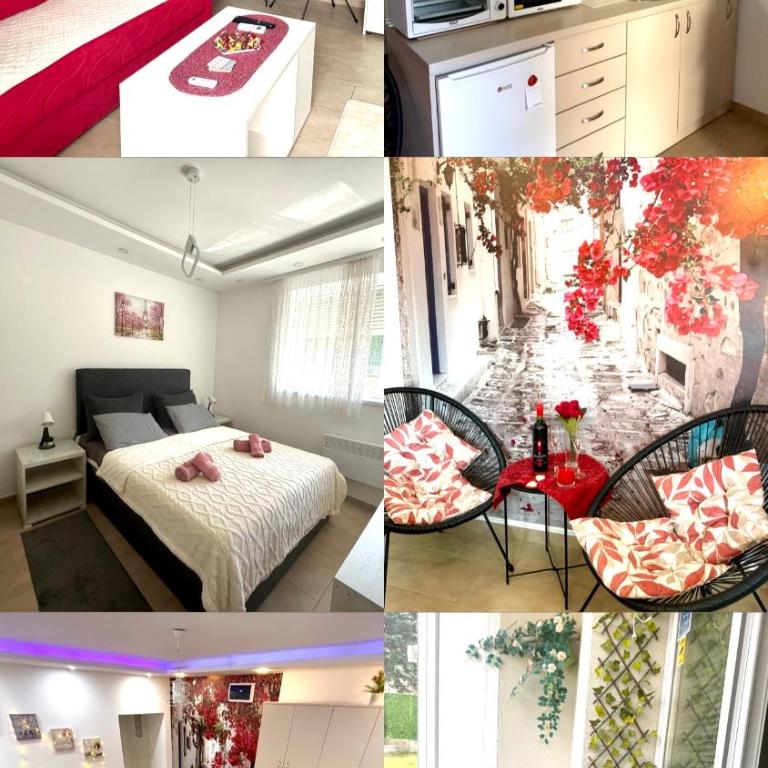 Apartman Petra Sokobanja - Apartman sa 1 Spavaćom Sobom - 1