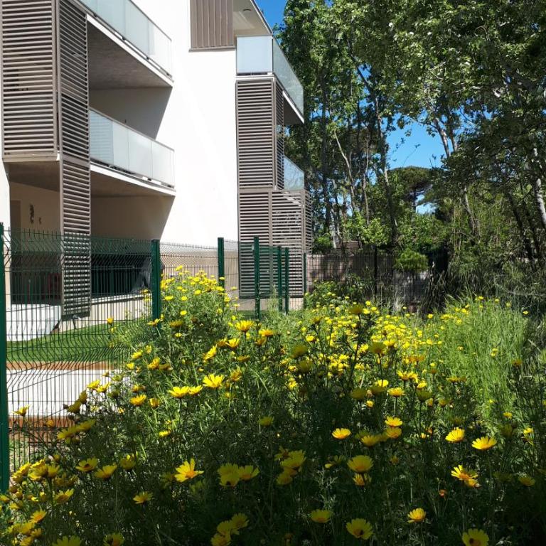 Aurora, magnifique, classé 3 étoiles, 6 personnes, accès direct plage, parking privé, vue mer à travers la pinède - Appartement 2 Chambres - 55