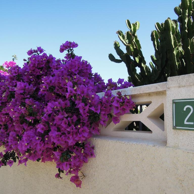 Villa Vista 26 - Villa con vistas al mar - 29