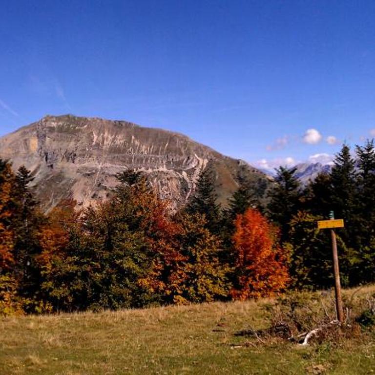Gite Les Sabots De Venus - Appartement 3 Chambres avec Vue sur la Montagne - 19