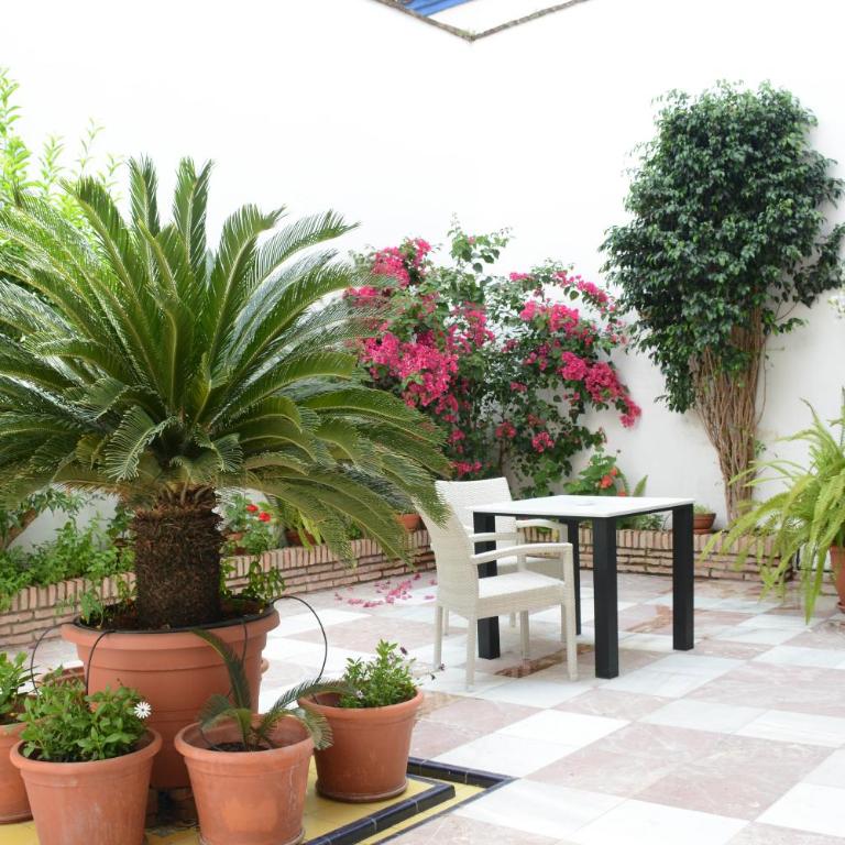 Apartamento Planta Baja - Apartamento con terraza - 14
