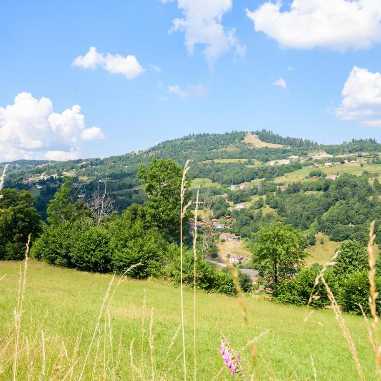 Appartement Atypique - Two-Bedroom Deluxe Apartment with Garden View - 29