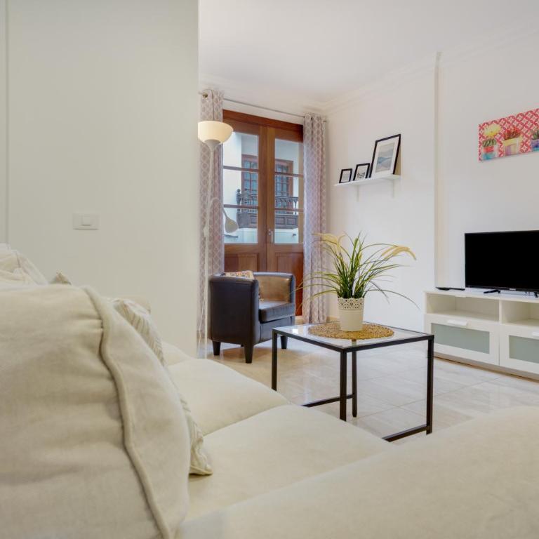 Apartamento Rolycar 102 - Superior Apartment with City View - 3