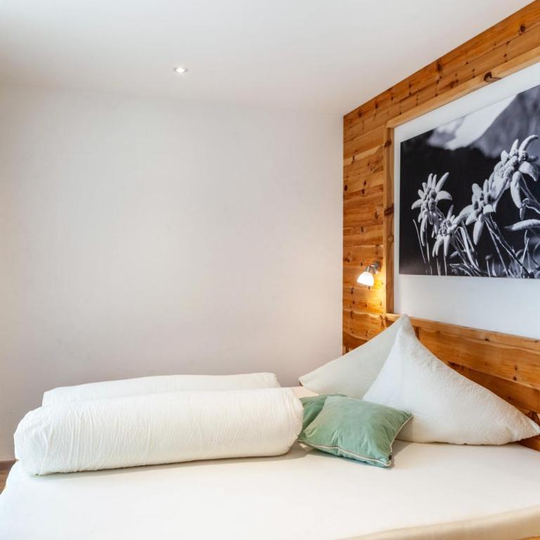 Apart-hochzillertal Gartenwohnung - Apartment mit 3 Schlafzimmern und Bergblick - 1