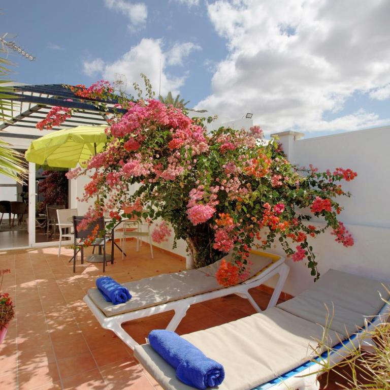 Bungalow Aloe Dunas - Apartamento Deluxe de 2 dormitorios con vistas al jardín - 1