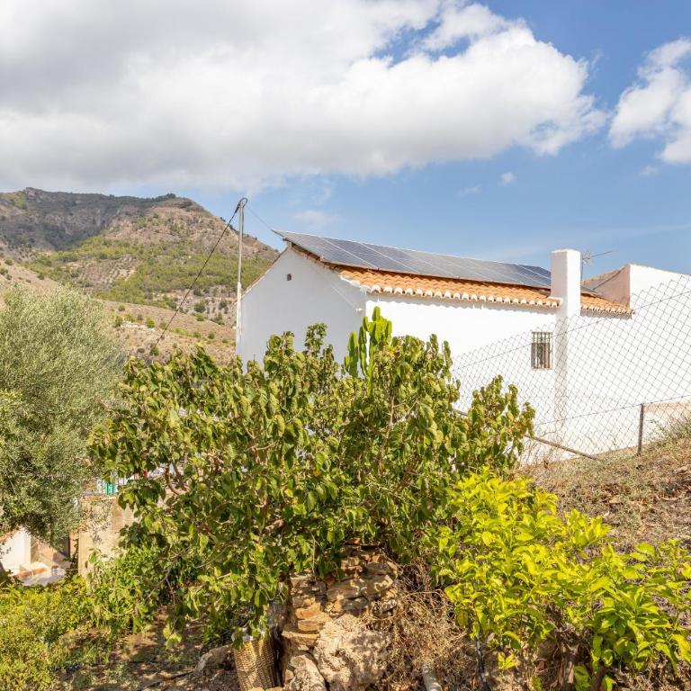 Cortijo La Abuela - Casa de 3 dormitorios - 29