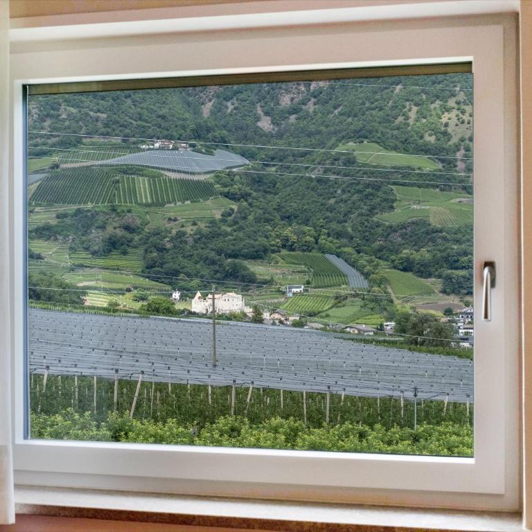 Niedermaierhof - Apartamento Deluxe de 2 dormitorios con vistas al jardín - 14