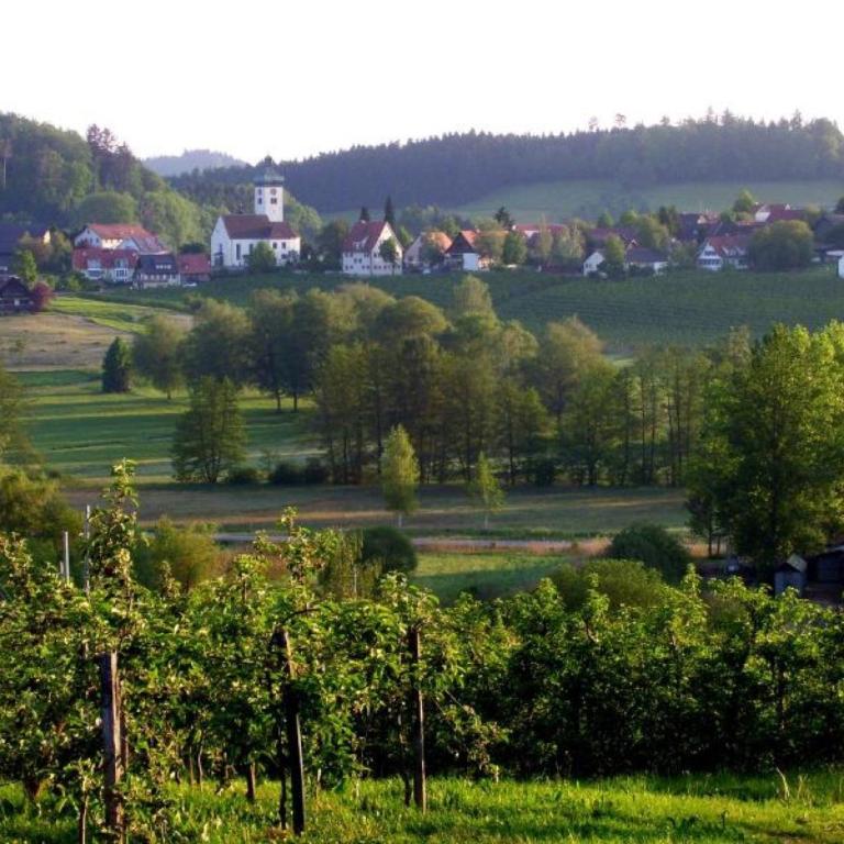 Ferienwohnungen Hiemer - Superior Apartment mit 1 Schlafzimmer und Balkon - 7