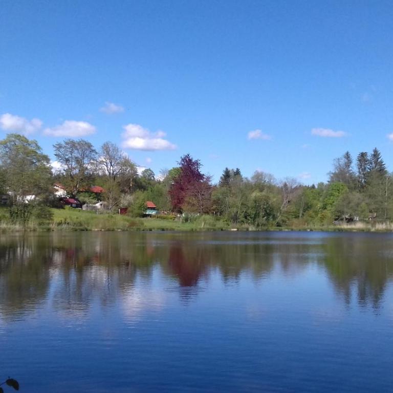 Ferienwohnung Birke - Apartment mit 1 Schlafzimmer und Gartenblick - 23