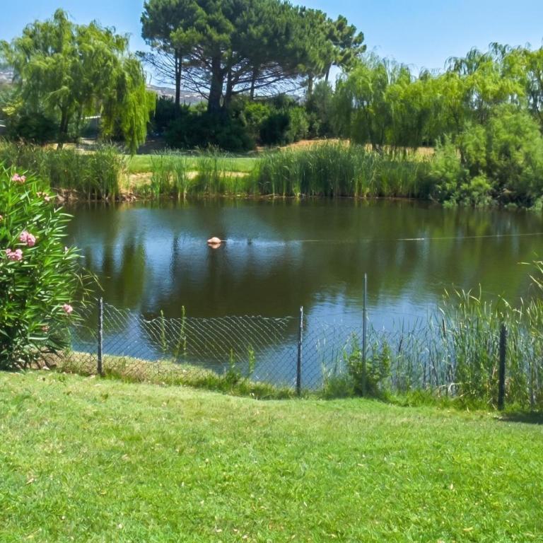 Blue&Green House With Shared Pool - Happy Rentals - Appartamento con Terrazza - 20