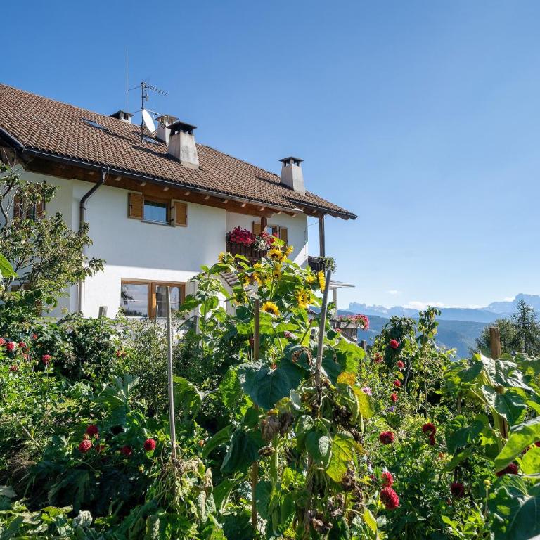 Stücklhof Wohnung Rose - Appartamento Superior con 1 Camera da Letto e Balcone - 21