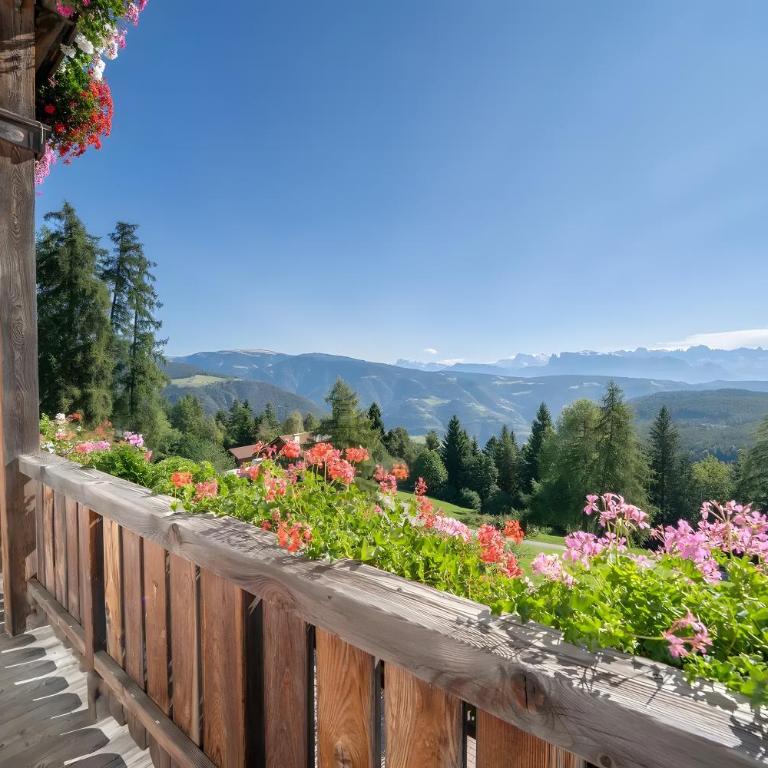Stücklhof Wohnung Rose - Appartamento Superior con 1 Camera da Letto e Balcone - 1