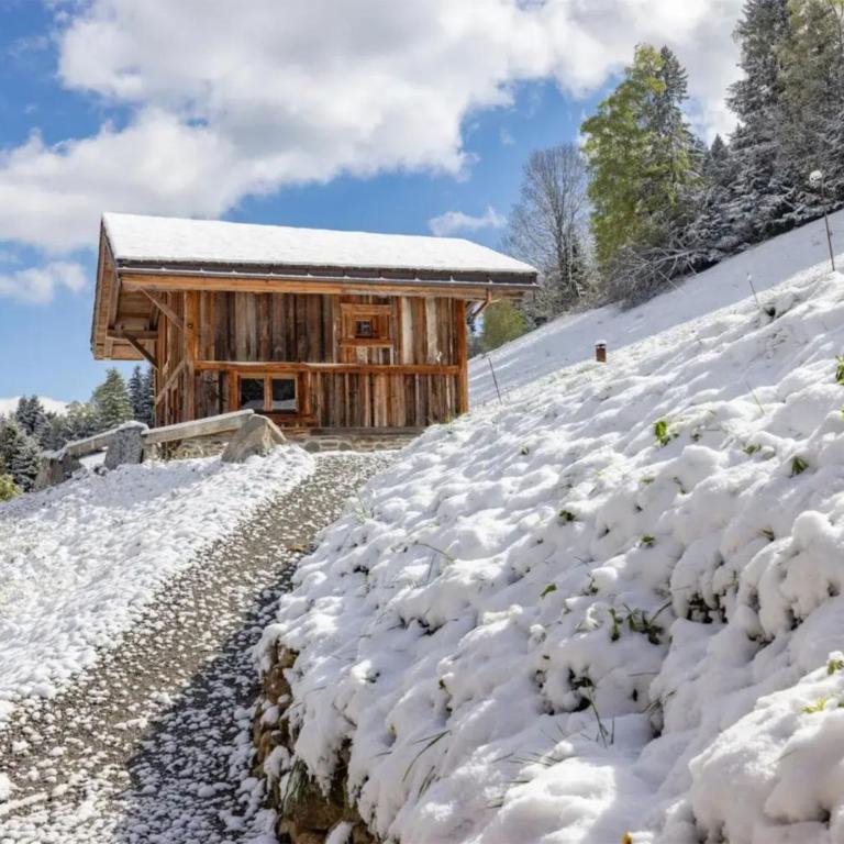 Mazot de Warens - Chalet 1 Chambre - 11