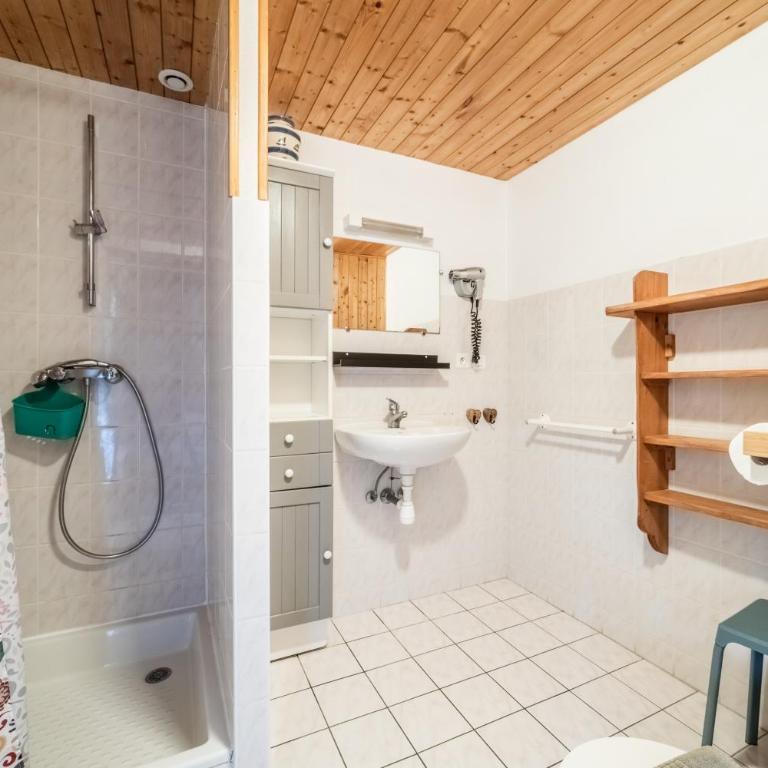 Gand chalet montagne 30 personnes - Chalet - 24