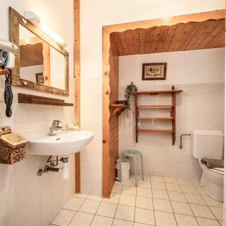 Gand chalet montagne 30 personnes - Chalet - 23