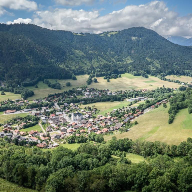 Gand chalet montagne 30 personnes - Chalet - 36