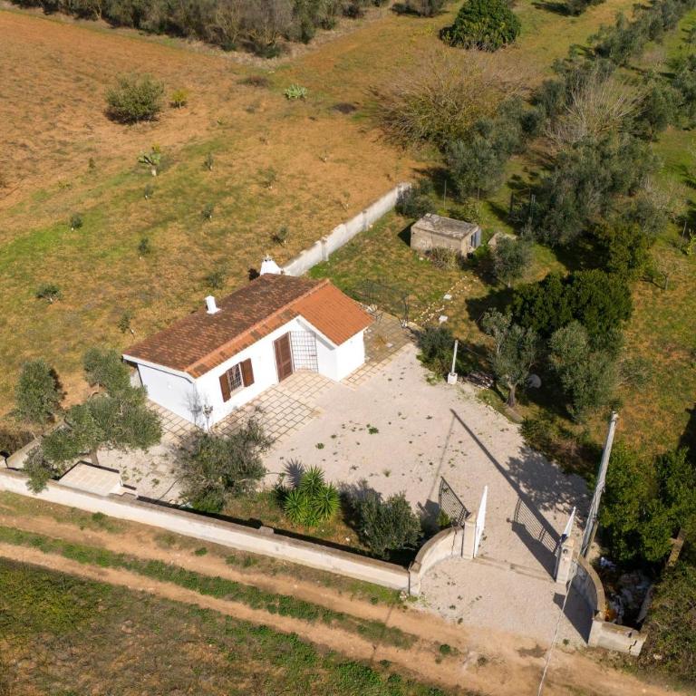 Oasi Naturale di Porto Selvaggio - Casa con 1 Camera da Letto - 23