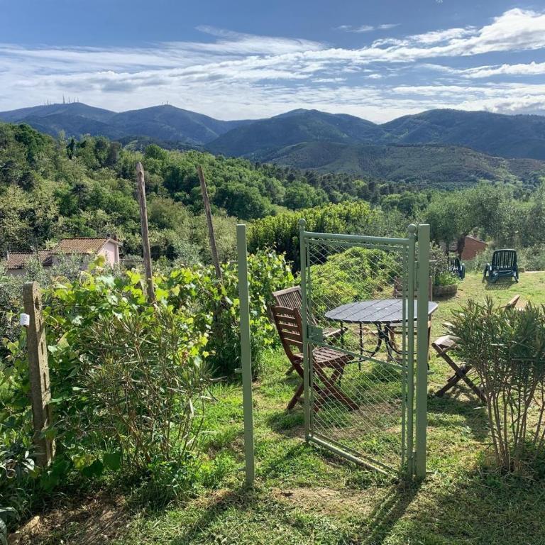 La Capanna di Arturo Piano Terra - Casa con 2 Camere da Letto - 19