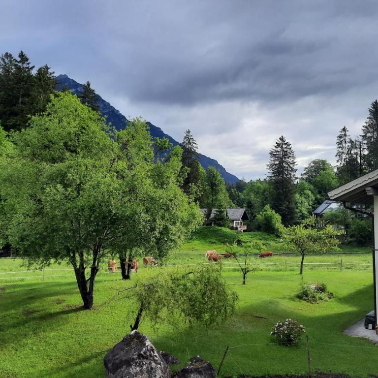 Ferienwohnung Zugspitze - Superior Apartment mit 1 Schlafzimmer und Balkon - 21