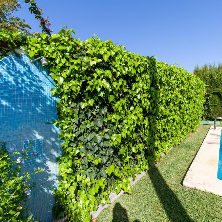 La Buganvilla - Sólo Familias - Apartamento con terraza - 27