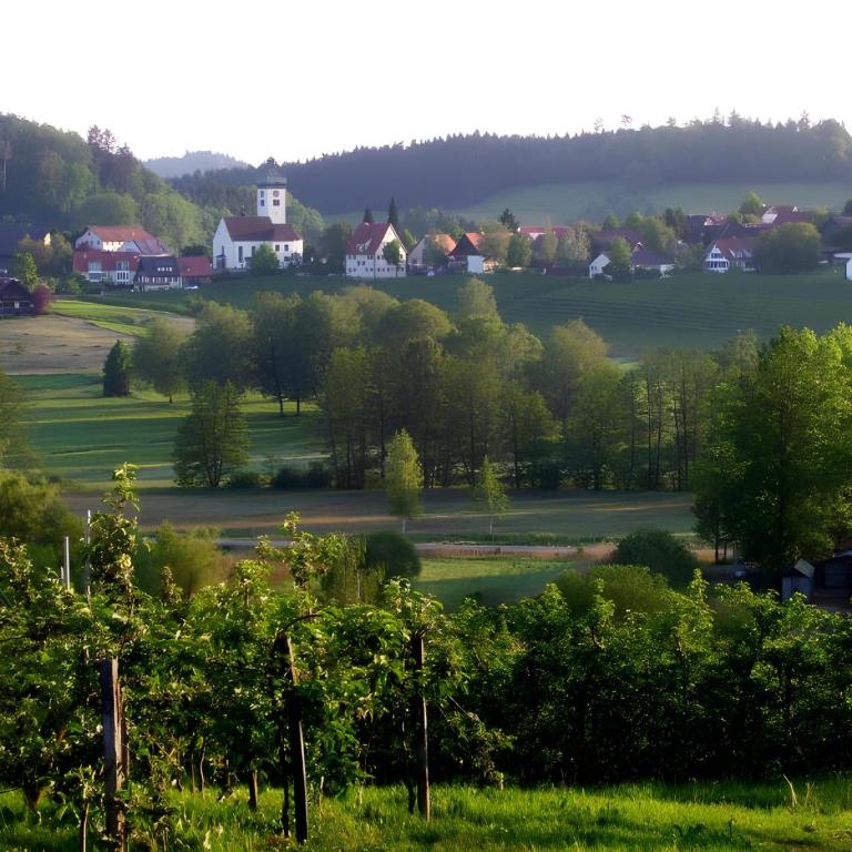 Ferienwohnungen Hiemer - Apartment mit 1 Schlafzimmer und Gartenblick - 8