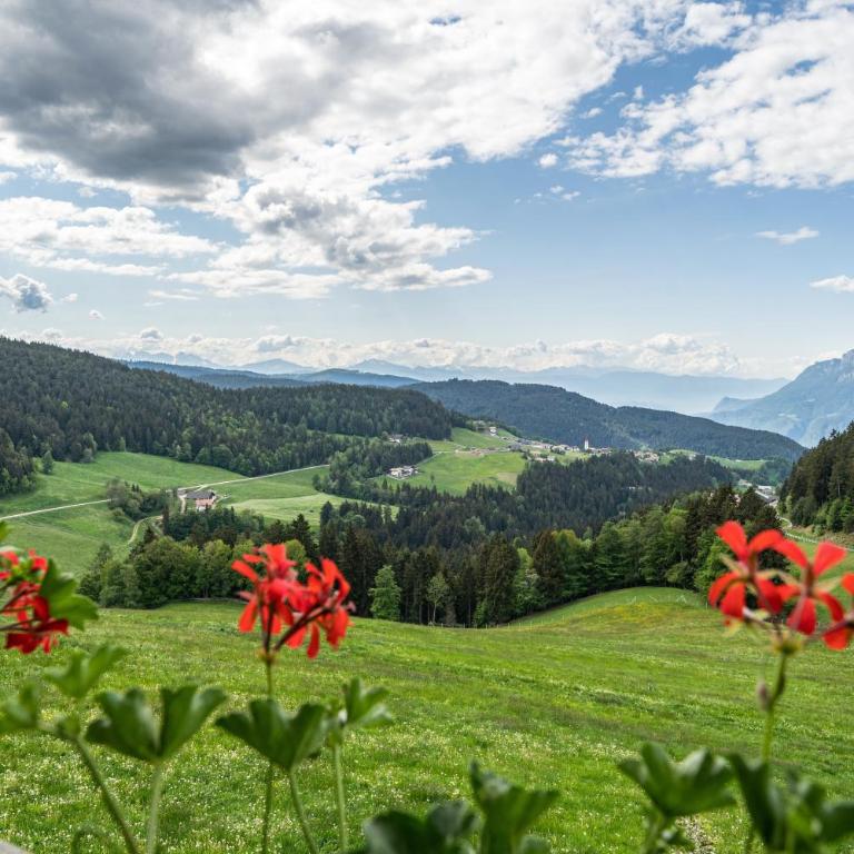 Rotsteinhof Apartement Sonnenschein - Apartamento Deluxe de 2 dormitorios con vistas al jardín - 5