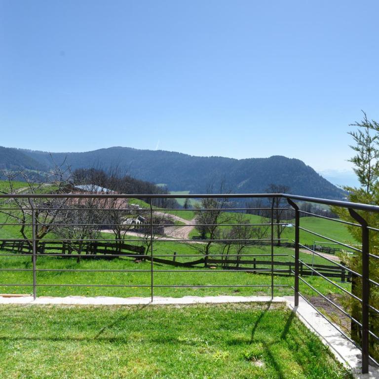 Moarhof - Appartamento Deluxe con 2 Camere da Letto e Vista Giardino - 13