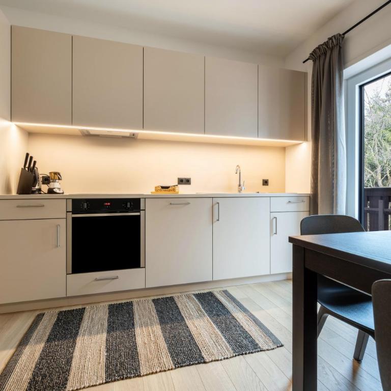 Plose 35 - Superior One-Bedroom Apartment with Balcony - 2