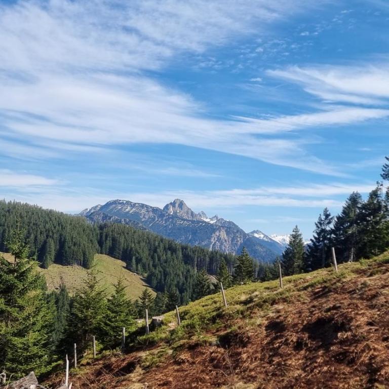 Fewo Gipfelstürmer mit Königscard - Apartment mit 2 Schlafzimmern und Bergblick - 21