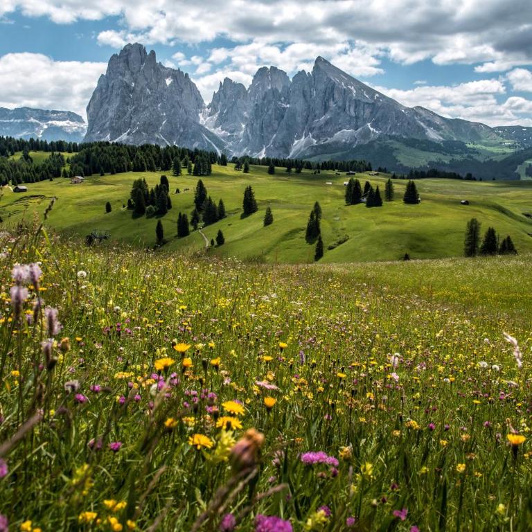 Schererhof Dolomitenblick - Two-Bedroom Deluxe Apartment with Garden View - 36