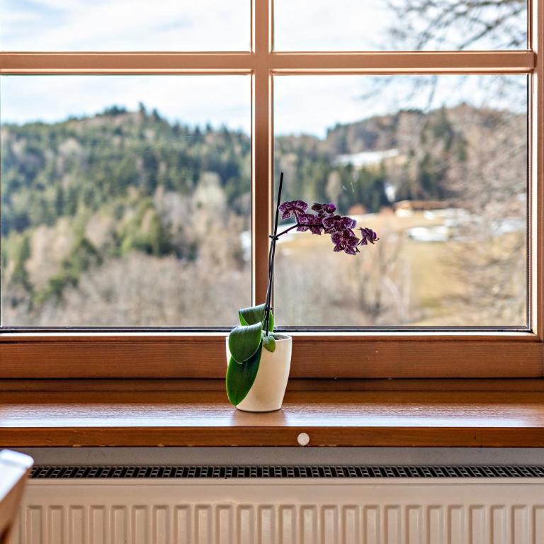 Alpin Farm Linde - Oberweidacherhof - Appartamento Deluxe con 2 Camere da Letto e Vista Giardino - 5