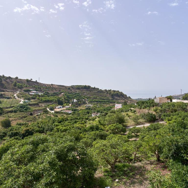 Cortijo Los Ángeles Morea - Casa de 3 dormitorios - 40