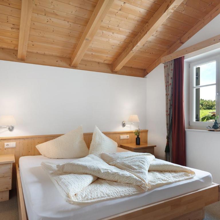 Waldthalerhof - Appartamento Deluxe con 2 Camere da Letto e Vista Giardino - 1
