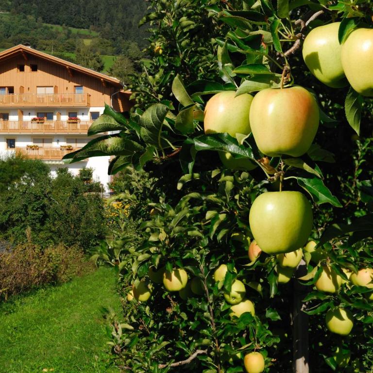 Huberhof App Gala - Superior Apartment mit 1 Schlafzimmer und Balkon - 29