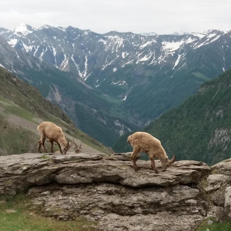 Vacances à La Montagne - Appartement Supérieur - Vue sur Ville - 22