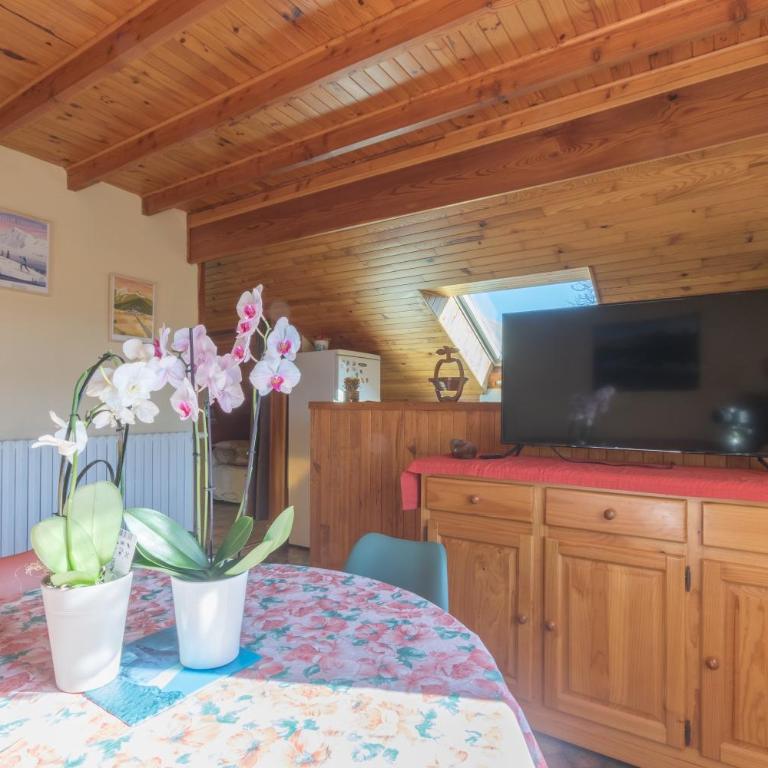 Vacances à La Montagne - Appartement Supérieur - Vue sur Ville - 3