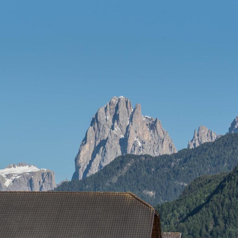 Hatzeshof Alpenglück - Appartamento con 1 Camera da Letto e Vista Giardino - 33