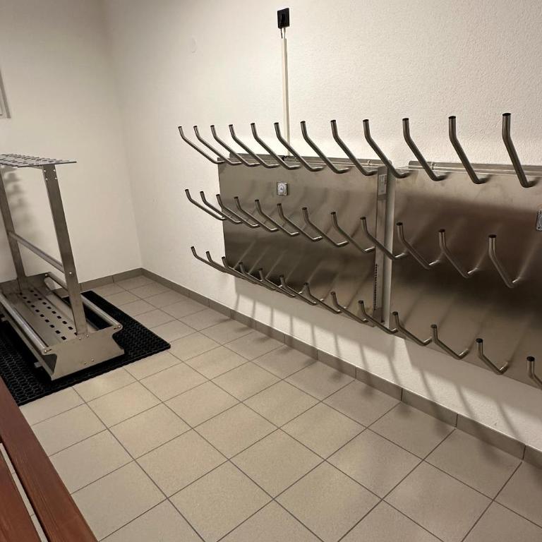 Obergasserhof Apt Waldruhe - Appartamento Deluxe con 2 Camere da Letto e Vista Giardino - 23