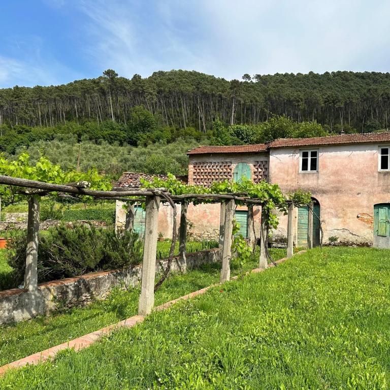 Tuscany Charme Coselli Restored - Villa con Vista Giardino - 33