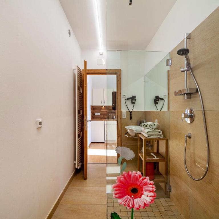 Langstein Wohnung Rose - Appartamento Superior con 1 Camera da Letto e Balcone - 15