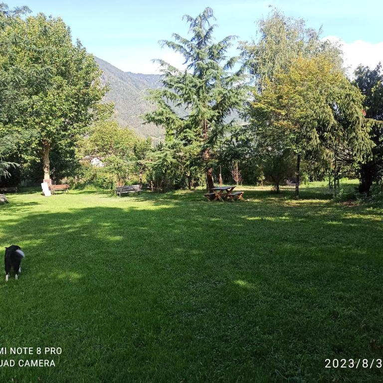 Apartement Oase - Apartamento de 1 dormitorio con vistas al jardín - 21