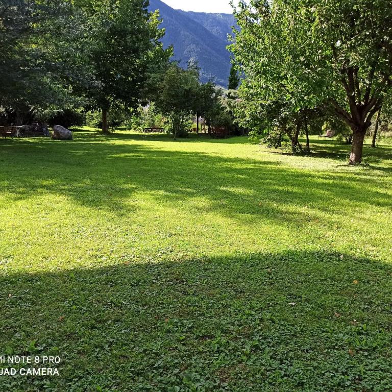 Apartement Oase - Apartamento de 1 dormitorio con vistas al jardín - 19