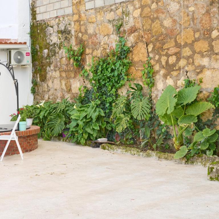 Villa verde Pet-friendly - Casa de 2 dormitorios - 33