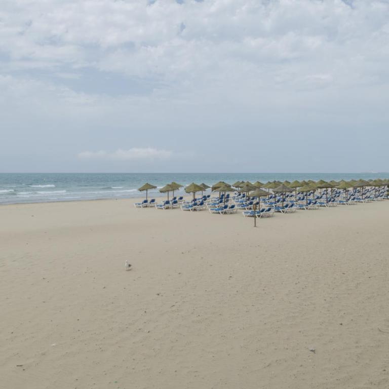 Estudio Arena, A Pie De Playa - Estudio - Adaptado para personas con movilidad reducida - 23