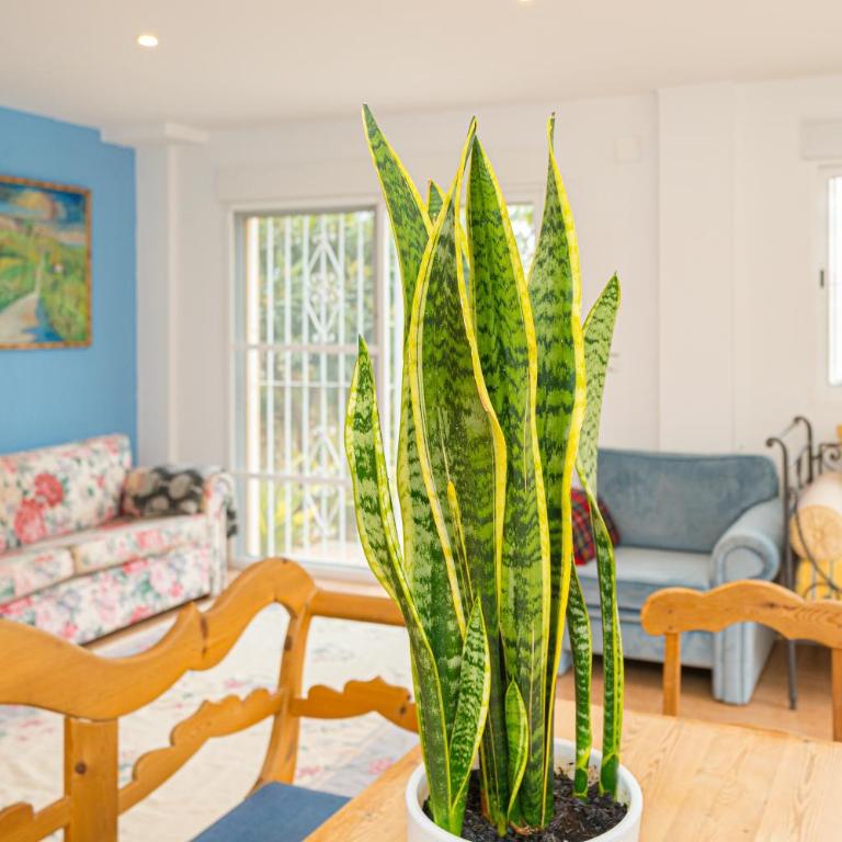 El Descanso - Studio Apartment with Sea View - 3