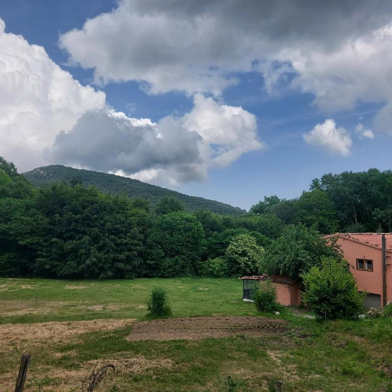 Masia Can Felix Santa Fe - Six-Bedroom House - 26