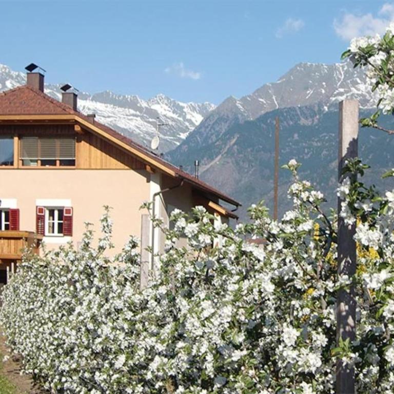 Stöckerhof Apartment Herz - Appartamento Superior con Vista Città - 10