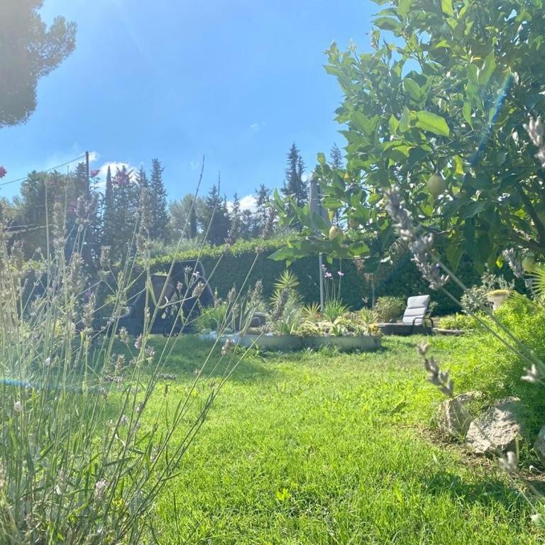 Le Mas des Pins - Appartement 1 Chambre - Vue sur Jardin - 25